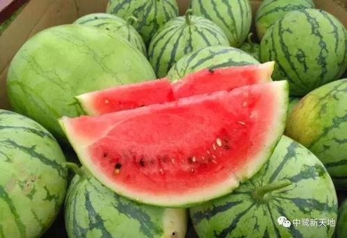 51吃瓜今日吃瓜入口黑料,揭秘今日吃瓜入口黑料，真相大白！